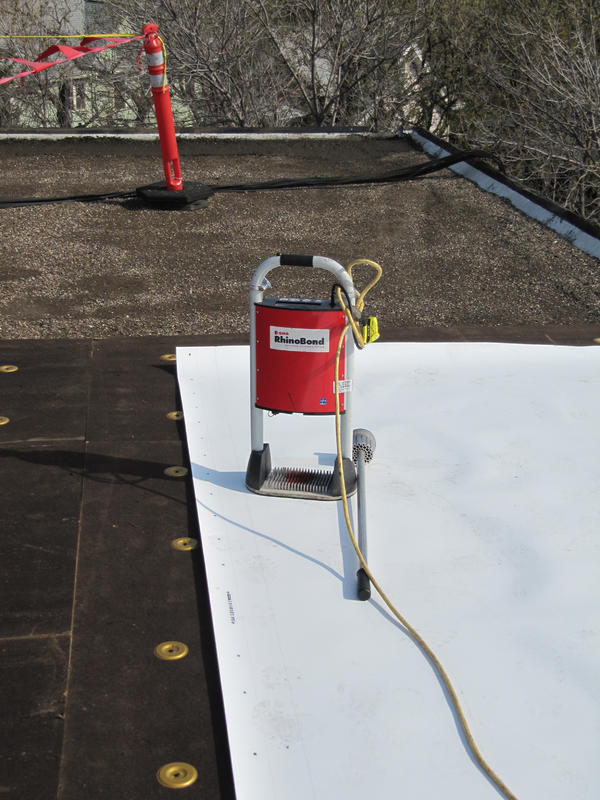 Rhino Machine Flat Roof